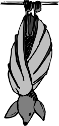 Man in Cloak - Black and White Clipart Illustration