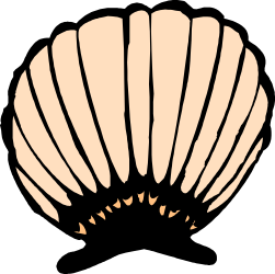 Shell Clipart: Stunning Designs for Your Projects
