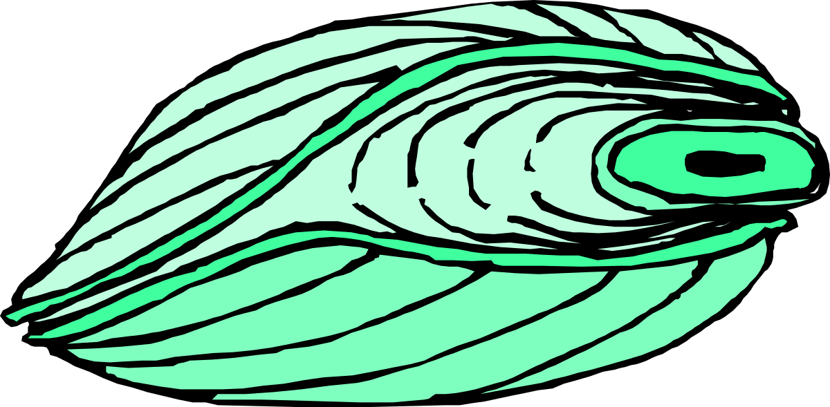 a fish with green fins clip art png transparent Green Fin Fish Clipart: Vibrant Aquatic Life