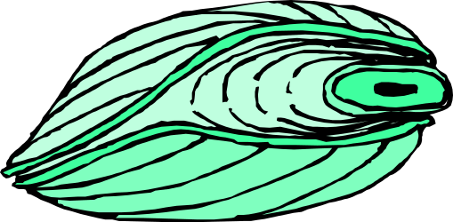 Green Fin Fish Clipart: Vibrant Aquatic Life