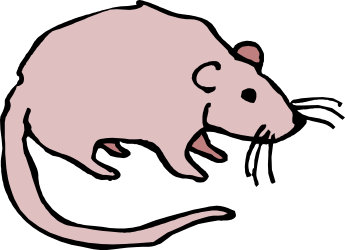 Rat Clipart on Black Background - Perfect for Unique Designs