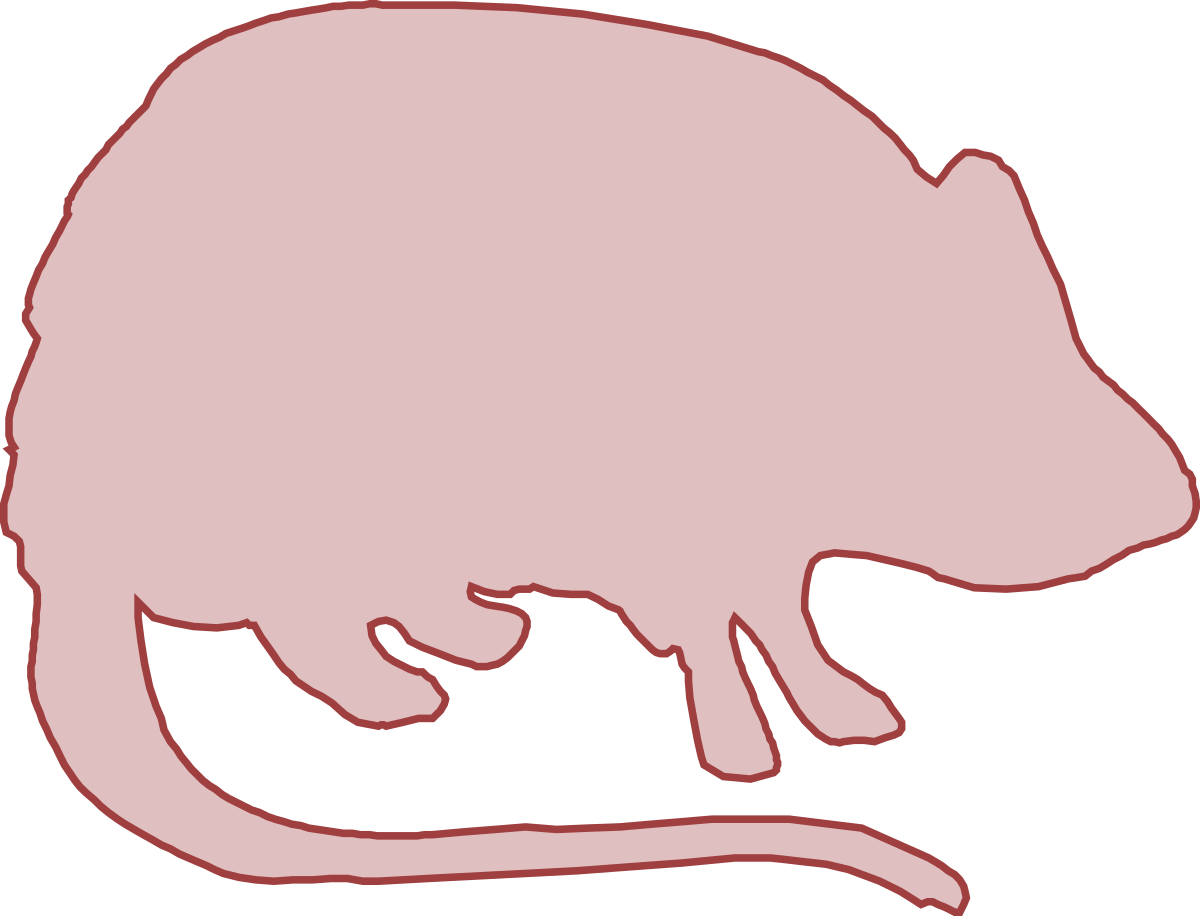 a rat rat silhouetted on a black background clip art png transparent Silhouetted Rat on Black Background Clipart - Perfect for Distinctive Designs