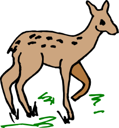 Deer Walking Across Grass - Nature Clipart for Your Projects