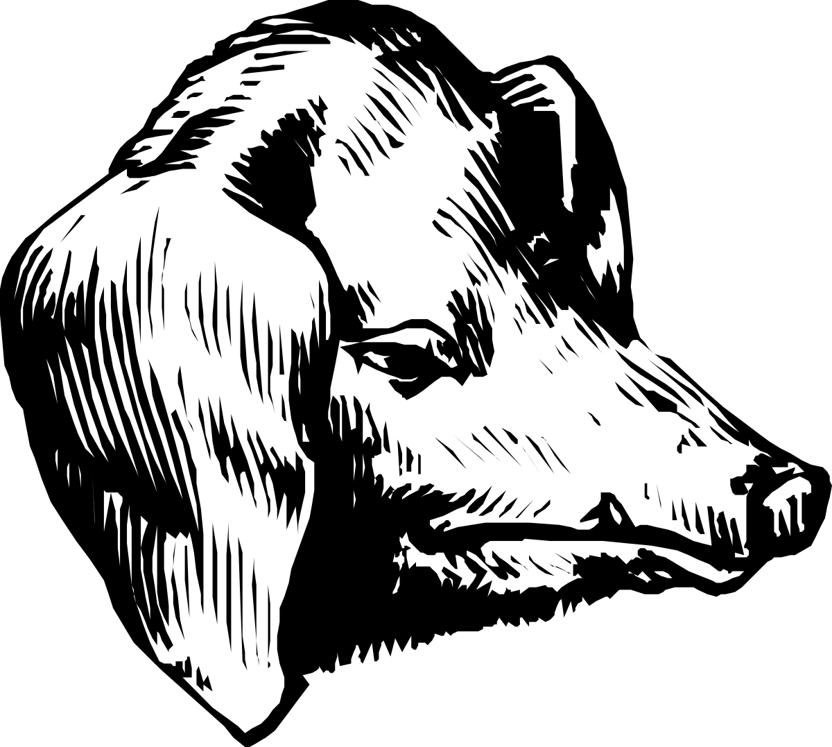 Dog Clipart - Black and White Drawing of a Loyal Companion