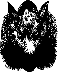 Black and White Bird Clipart - Elegant Avian Design