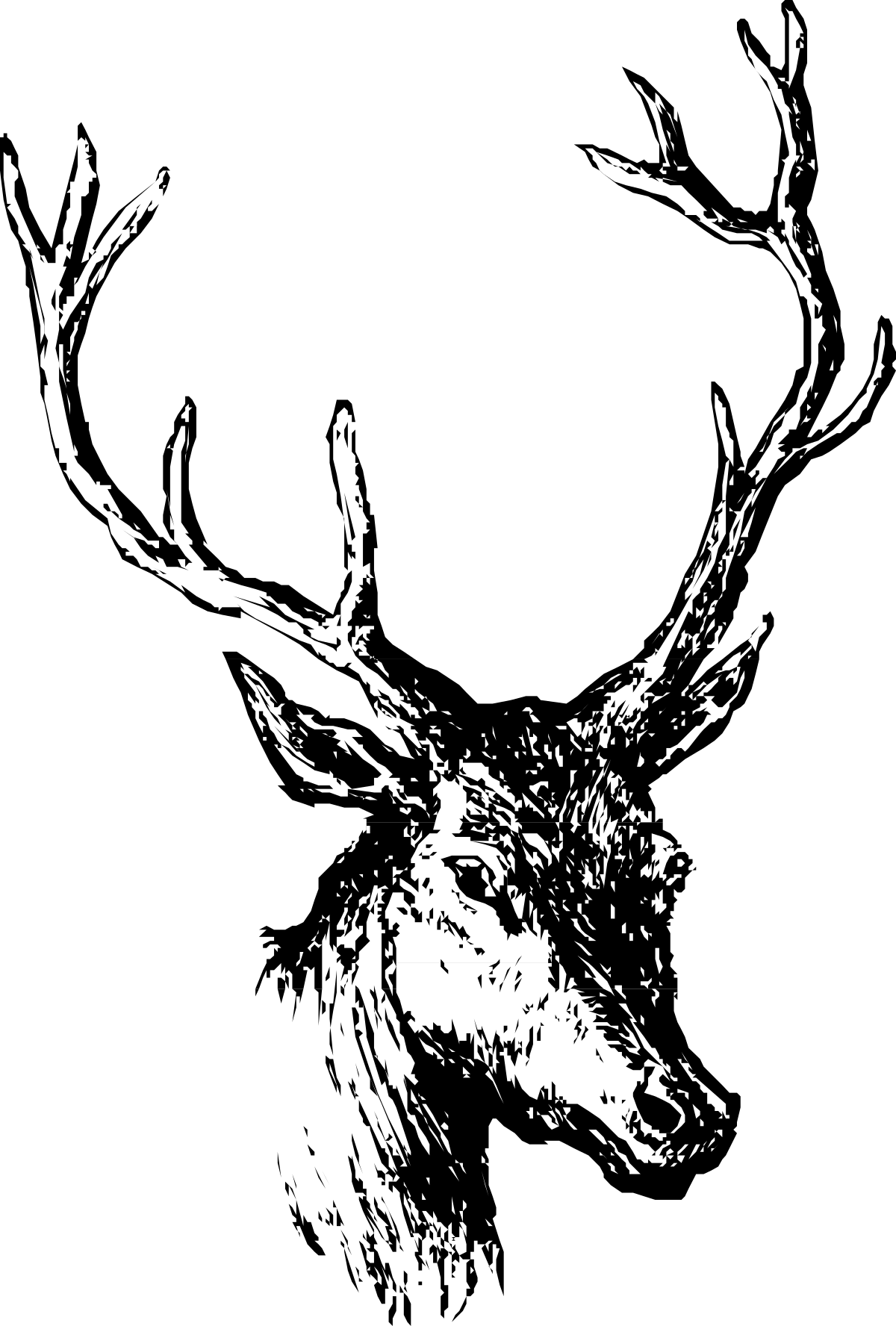 a black and white image of a deer clip art png transparent Deer Clipart - Elegant Black and White Illustration for Versatile Use