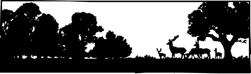 Silhouette of a Deer in the Woods Clipart - Enchanting Animal Borders