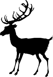 Black and White Silhouette of a Man - Elegant Clipart Design