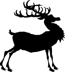 Black and White Bird Clipart - Elegant Avian Silhouette