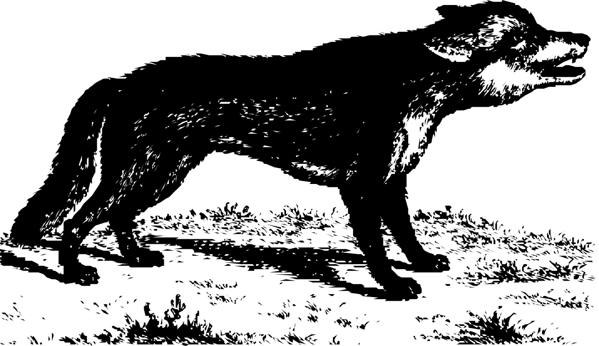 Black and White Dog Silhouette Against Dark Background Clipart
