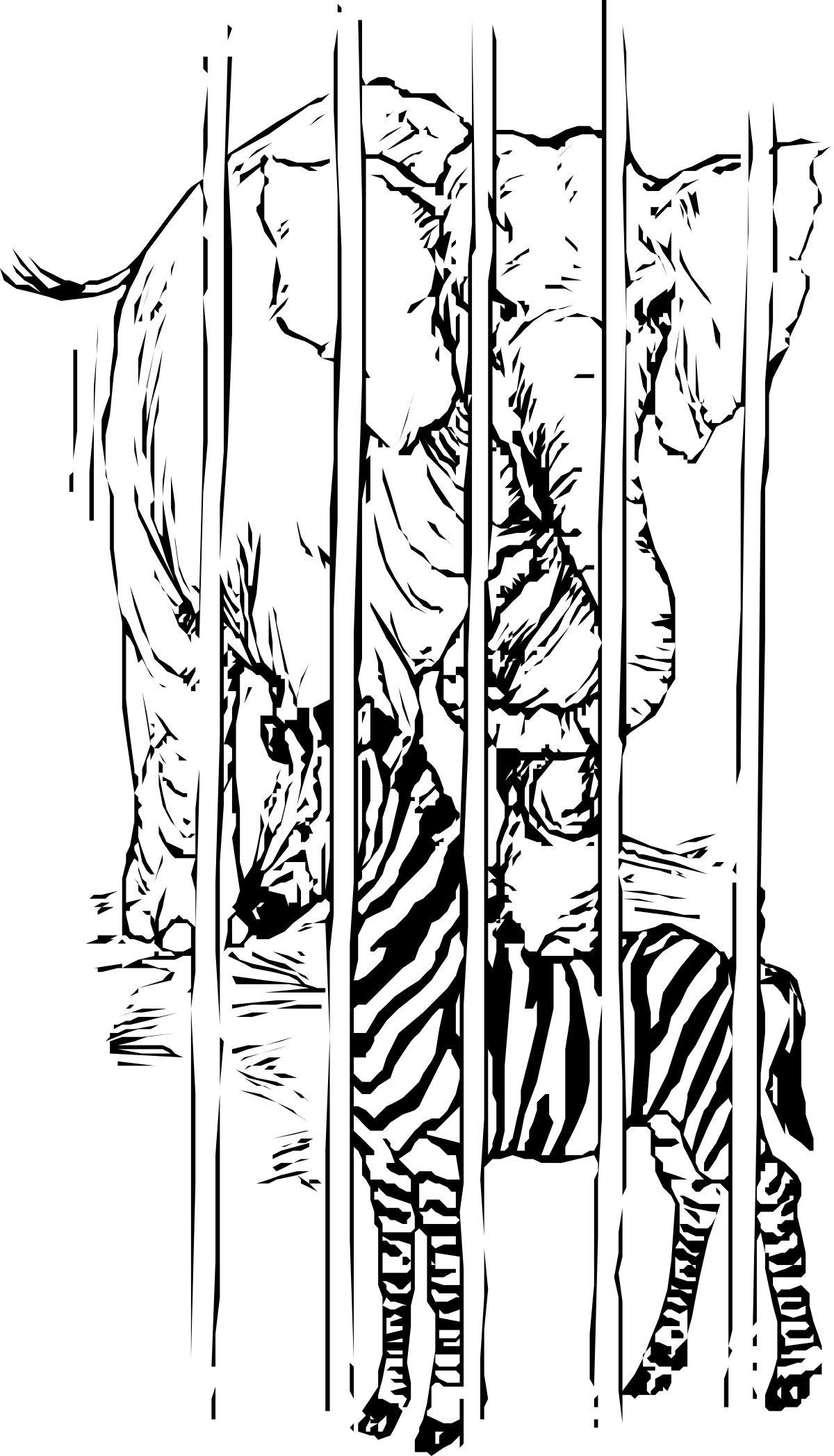 Zebra Clipart: Stunning Black and White Illustrations for Your Projects