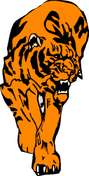 Tiger with Open Mouth Clipart - Vivid and Bold Animal Illustration