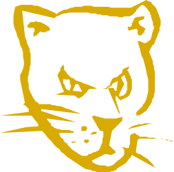 Black and Yellow Cat Head Clipart: Adorable Feline Graphics
