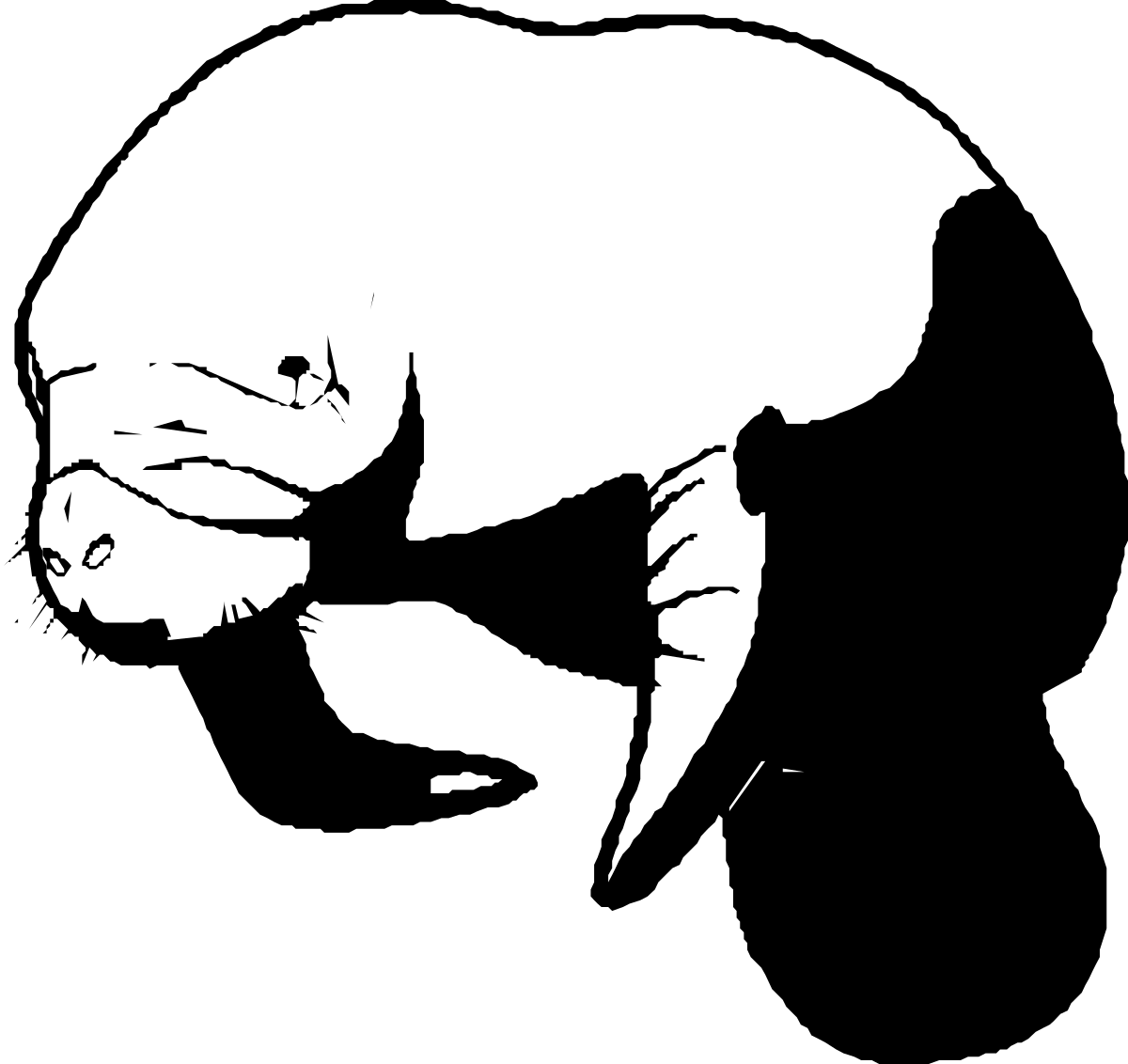 Black and White Cat Silhouette Clipart for Creative Projects