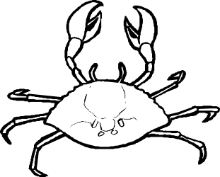Black and White Scorpion Clipart - Intricate & Bold Design