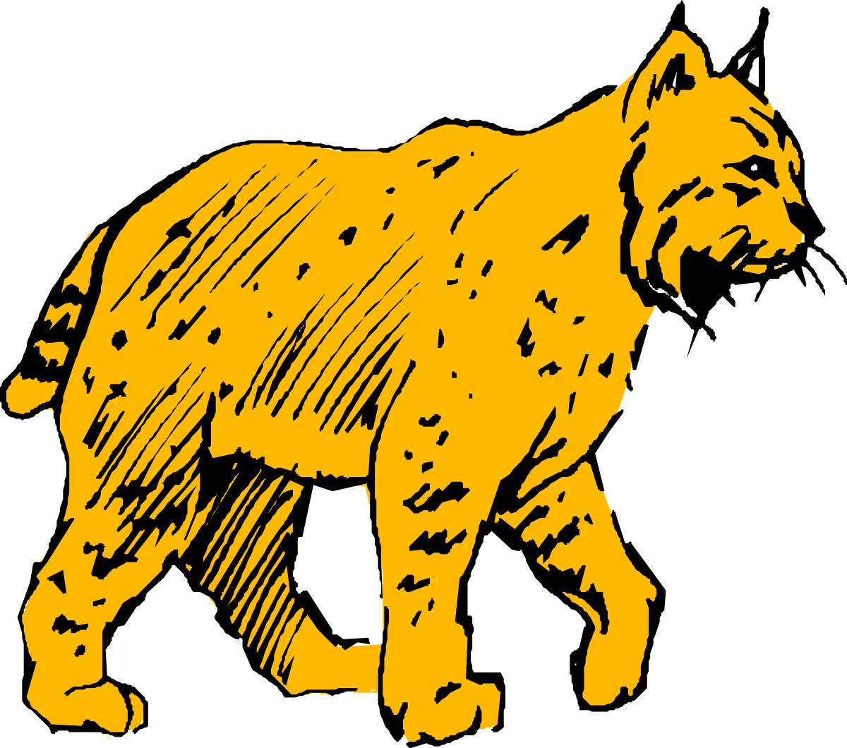 Lynx Walking Across Black Background - Stunning Clipart Design