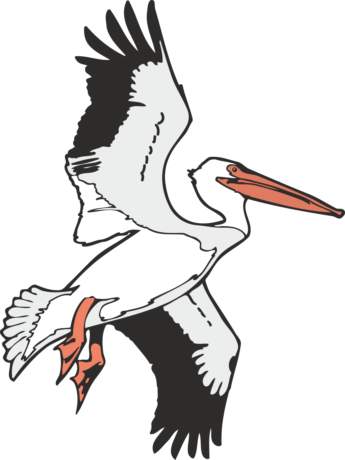 White Stork Flying in the Air Clipart for Stunning Designs