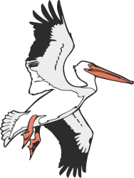 White Stork Flying in the Air Clipart for Stunning Designs