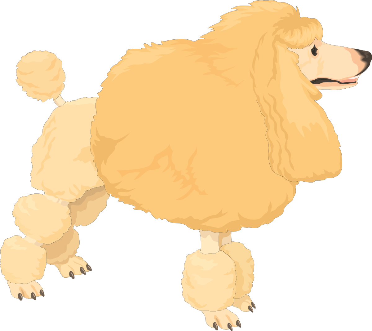 Poodle Dog Clipart with Long Hair - Adorable and Playful