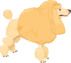 Poodle Dog Clipart with Long Hair - Adorable and Playful