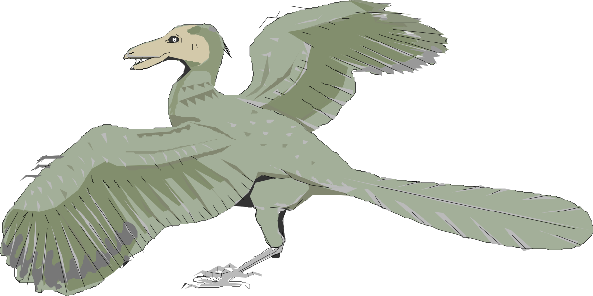 a bird with wings spread out clip art png transparent Bird with Wings Spread Out - Stunning Clipart for Nature Lovers