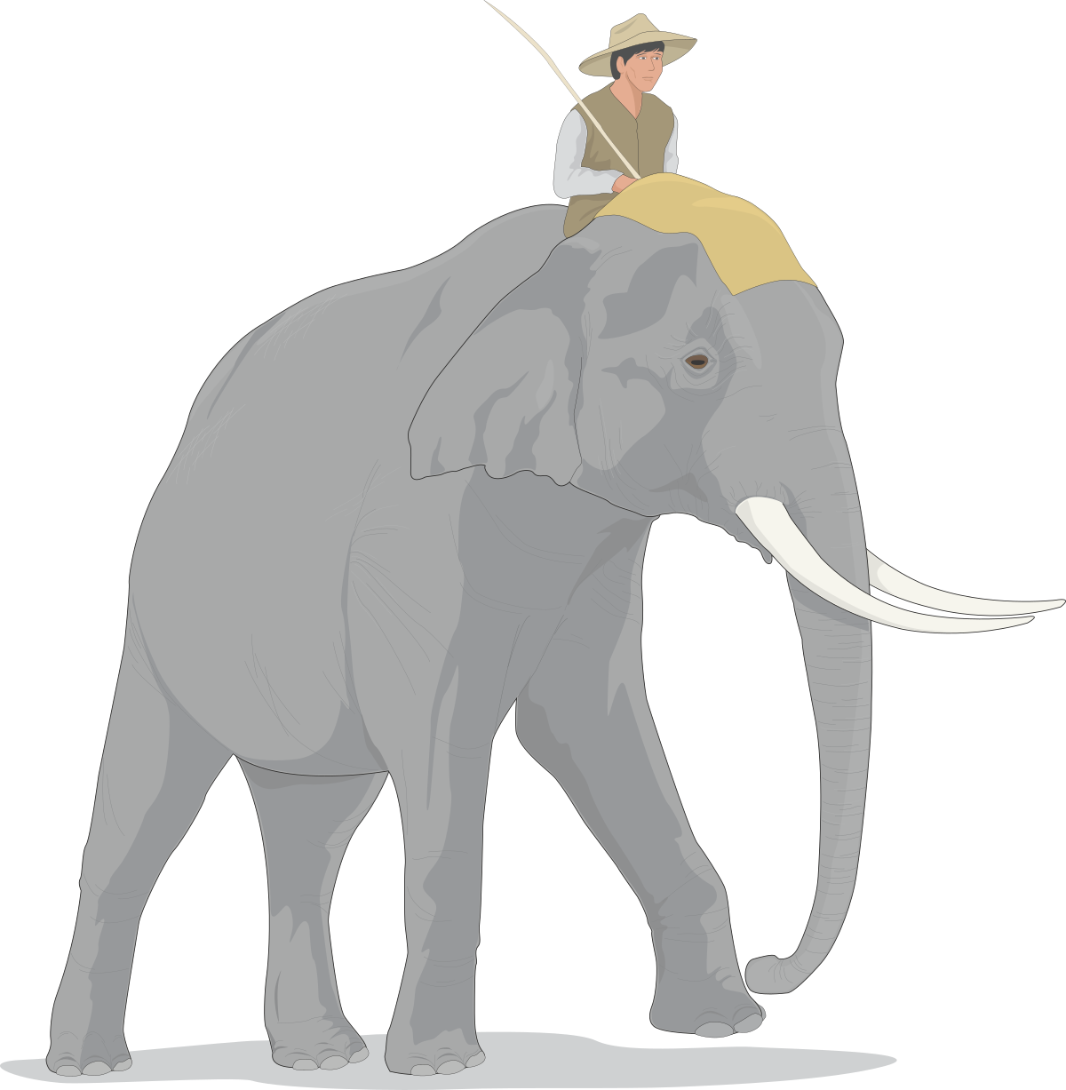 Elephant with Hat Clipart: Fun & Whimsical SVG Design