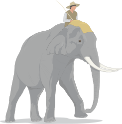 Elephant with Hat Clipart: Fun & Whimsical SVG Design