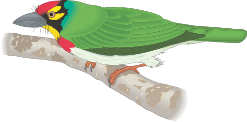Green Bird on Branch Clipart for Nature Lovers
