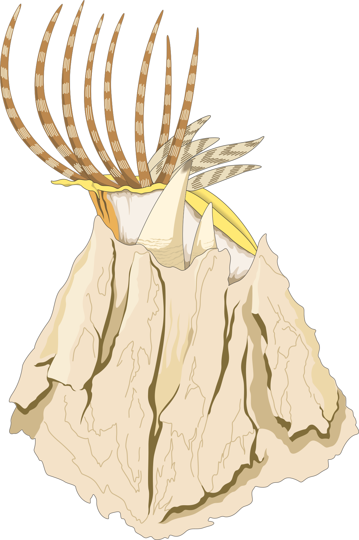 Deer Head with Ants on Rock  Unique Clipart Illustration