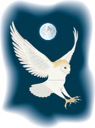 White Owl Flying Under a Full Moon - Enchanting Clipart