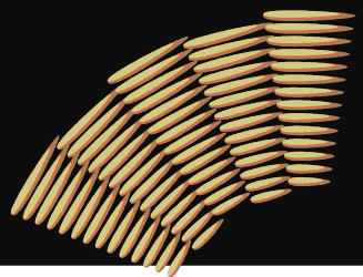 Nails Clipart with Black Background - Ideal for Craft Projects