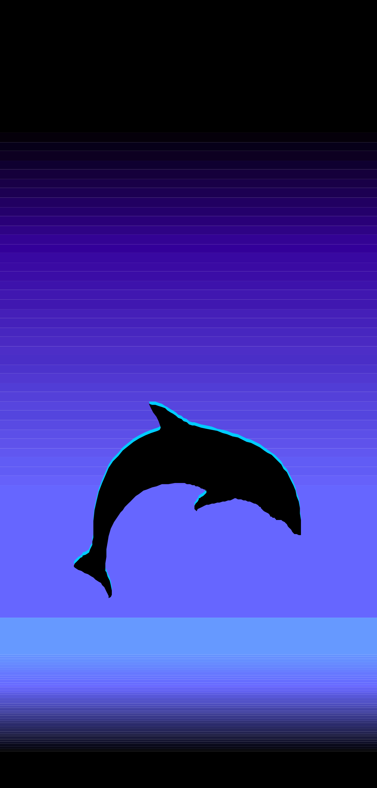 Dolphin Jumping in the Air Clipart  Vibrant Coastal Borders