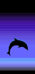 Dolphin Jumping in the Air Clipart  Vibrant Coastal Borders