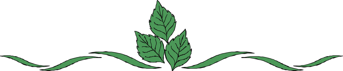 Green Plant Clipart on Black Background - Elegant Borders Design