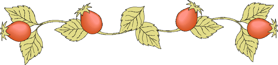 Plant Diagram Clipart: Two Stages with Borders and Bars