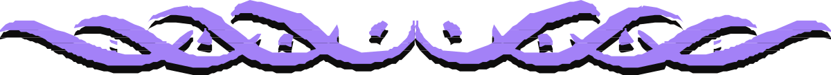 Purple and Black Background Clipart - Stylish Borders and Bars Design
