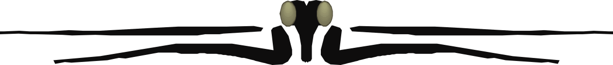 the logo for the new logo for the new logo clip art png transparent Borders and Bars Clipart: Stylish New Logo Designs