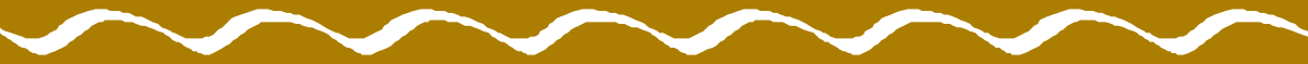 White Wave Pattern on Brown Background - Elegant Borders and Bars Clipart