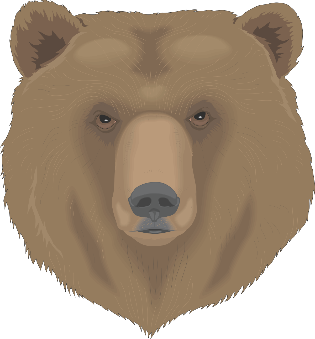 Bear Head Clipart: Striking Bear Face with Black Background