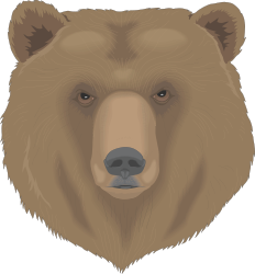 Bear Head Clipart: Striking Bear Face with Black Background