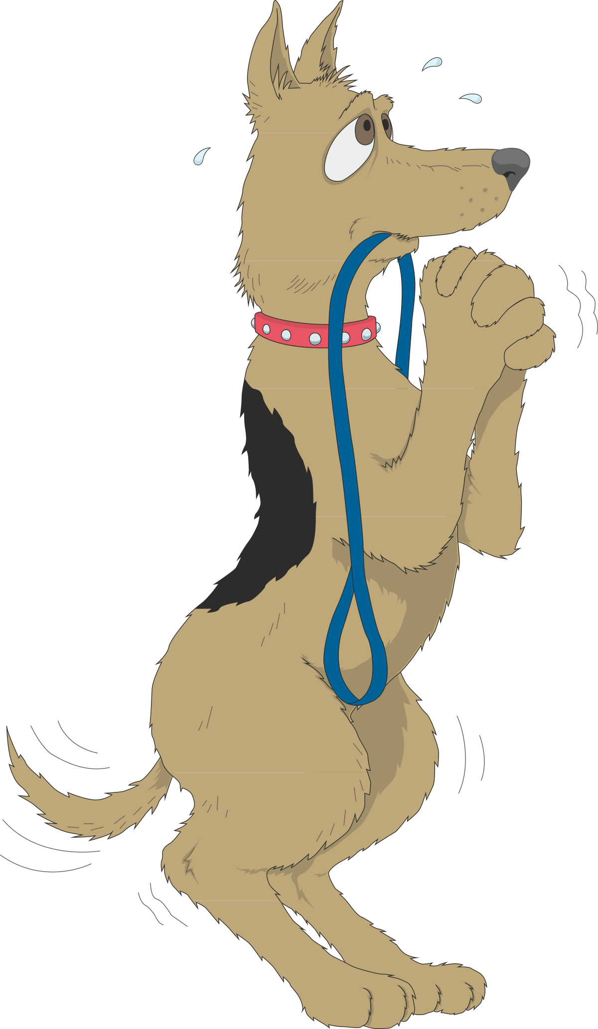 a dog with a leash on its neck clip art png transparent Dog with Leash Clipart: Perfect for Animal Lovers and Pet Projects