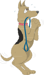 Dog with Leash Clipart: Perfect for Animal Lovers and Pet Projects