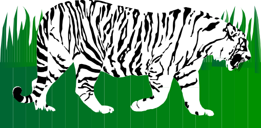 Tiger Walking Through Grass - Exquisite Wildlife Clipart