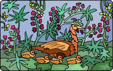 Duck in Grass Clipart - Charming Nature Illustration
