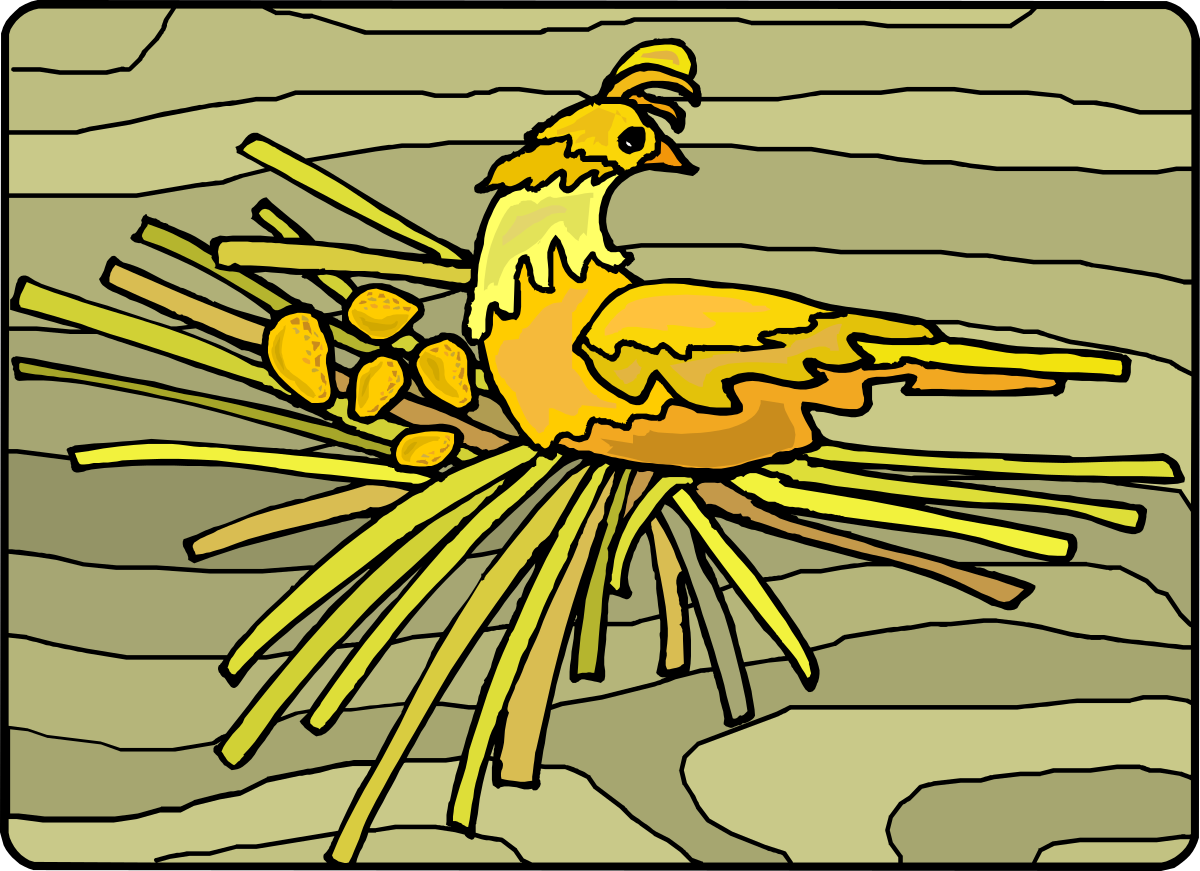 Bird on Rock Clipart - Perfect Nature Element for Your Projects
