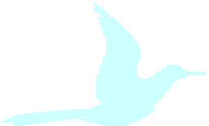 Silhouette of a Bird Flying in the Air - Elegant Clipart