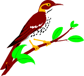 Bird on Branch with Leaves Clipart: Nature's Elegance
