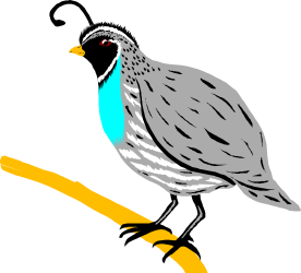Bird Sitting on a Branch - Charming Nature Clipart