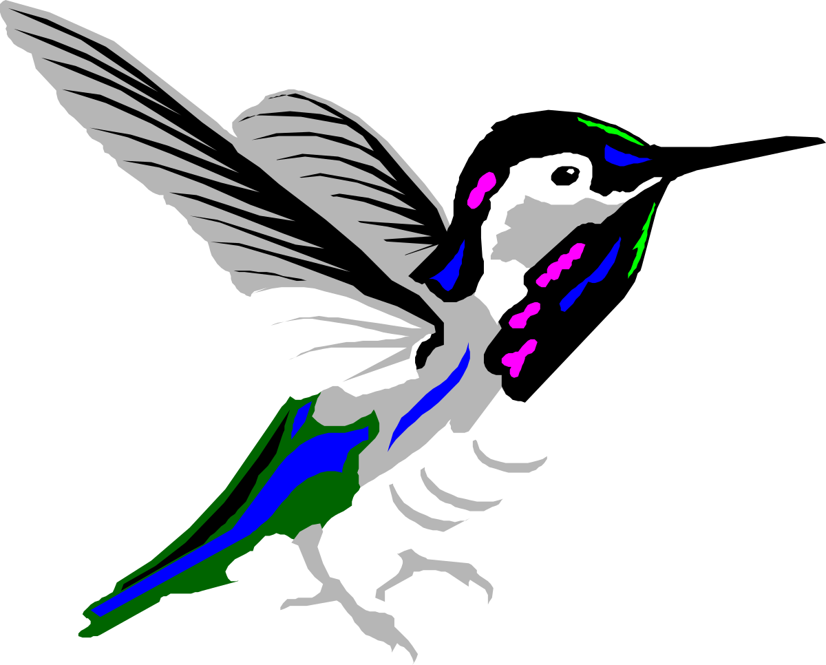 a bird with a colorful tail clip art png transparent Colorful Tail Bird Clipart: Vibrant Avian Art for Your Projects