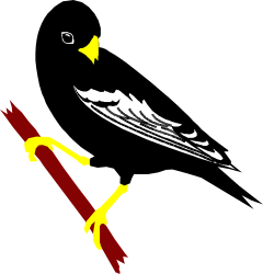 Black and Red Kite with White Tail Clipart - Vibrant and Dynamic